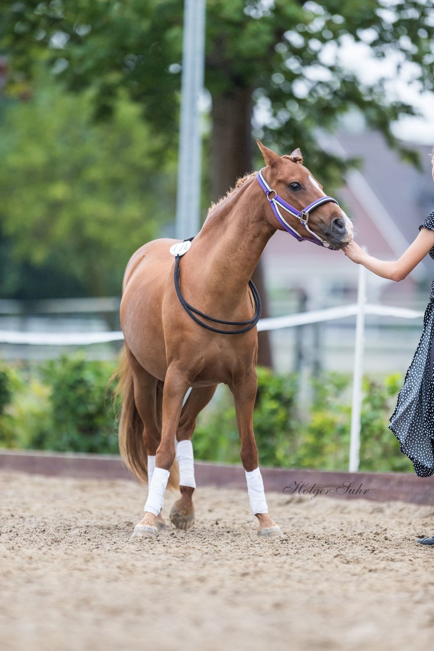 Bild 157 - Pony Akademie Turnier